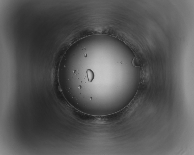 X0000102410656200808011608