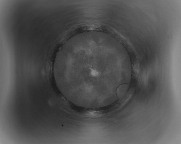 X0000102410657200808011608