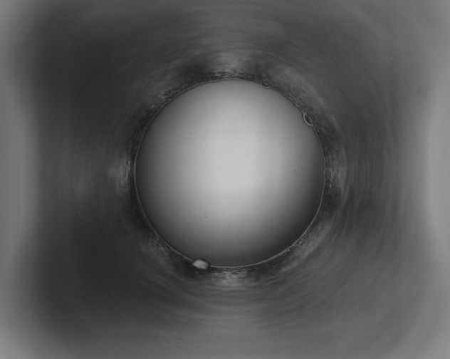 X0000102410660200808011609