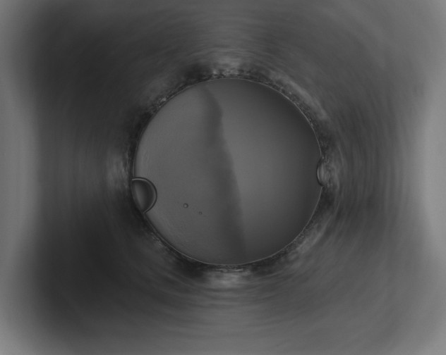 X0000102410661200808011609