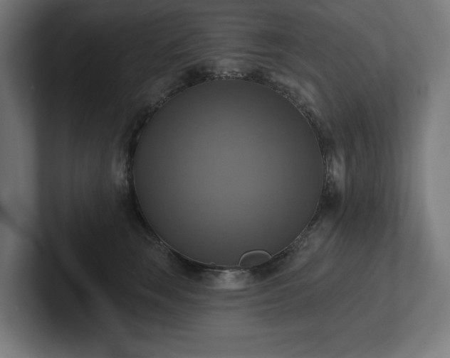 X0000102410663200808011609