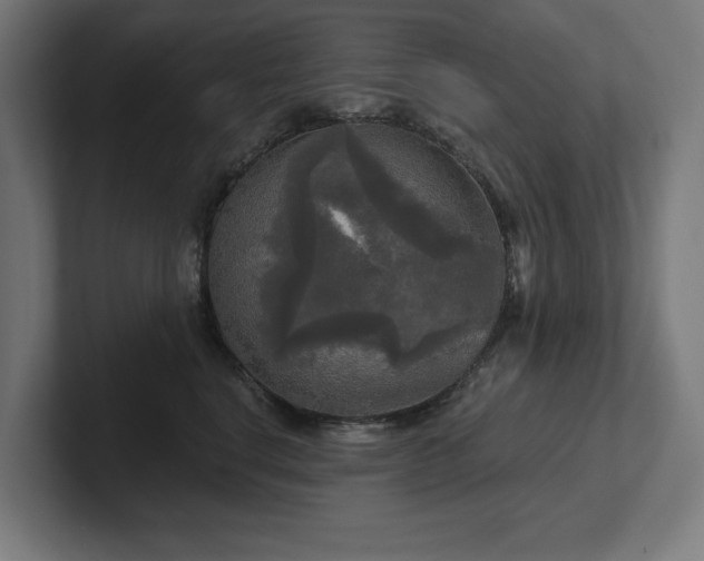 X0000102410664200808011609