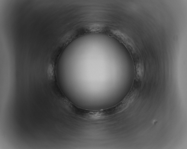 X0000102410667200808011609