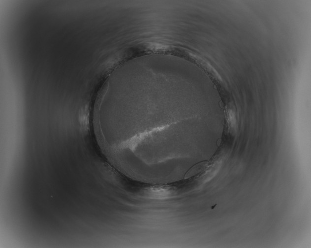 X0000102410668200808011609