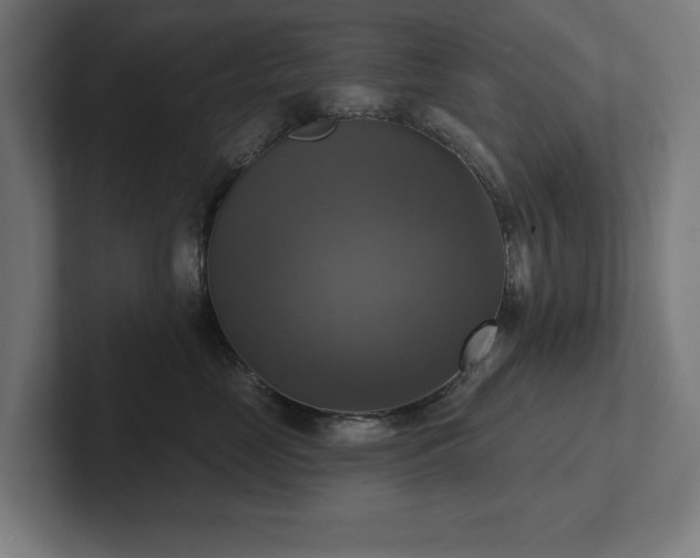X0000102410669200808011609