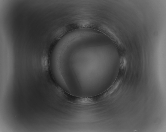 X0000102410670200808011609