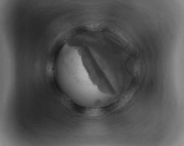 X0000102410671200808011609