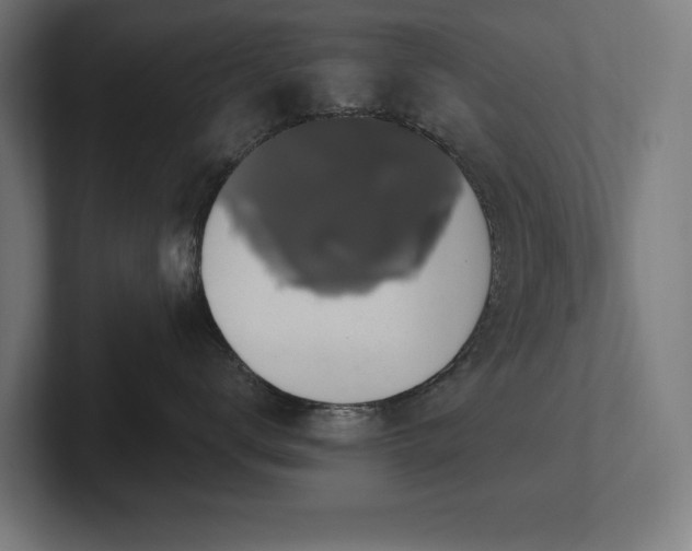 X0000102410672200808011609