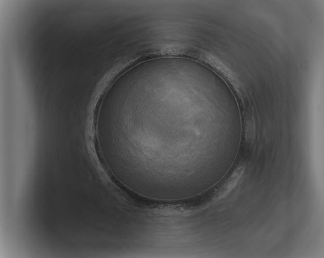 X0000102410673200808011608