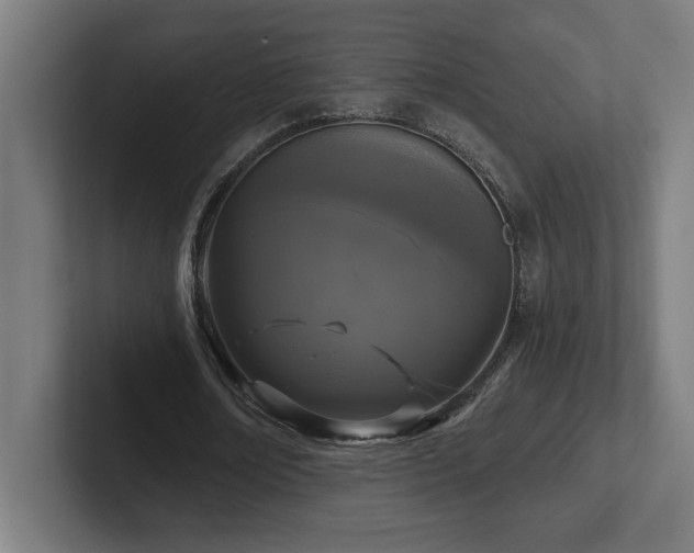X0000102410674200808011608