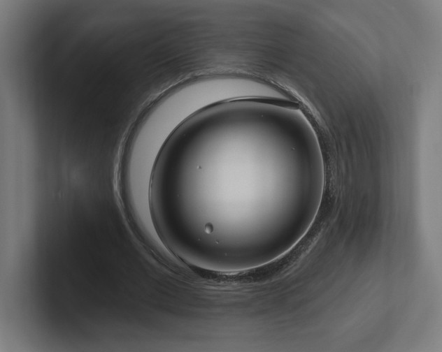 X0000102410677200808011608