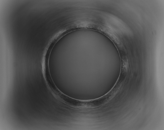 X0000102410678200808011608