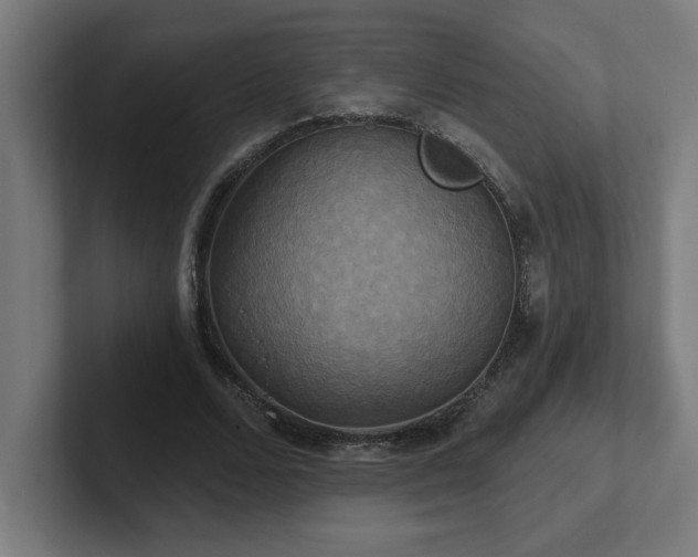 X0000102410680200808011608