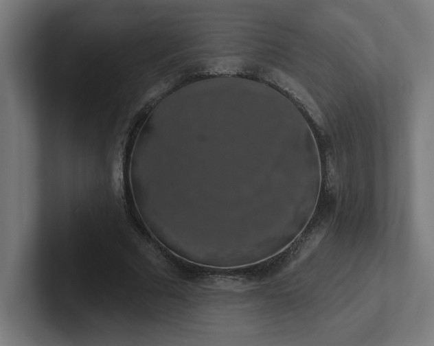 X0000102410681200808011608