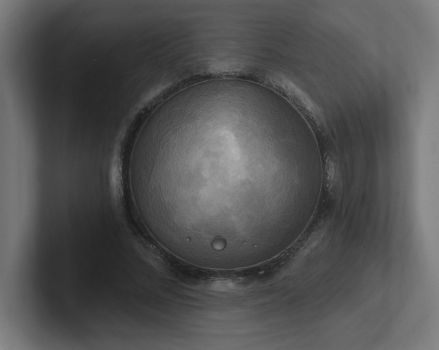 X0000102410684200808011608