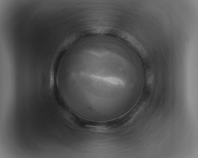 X0000102410685200808011608