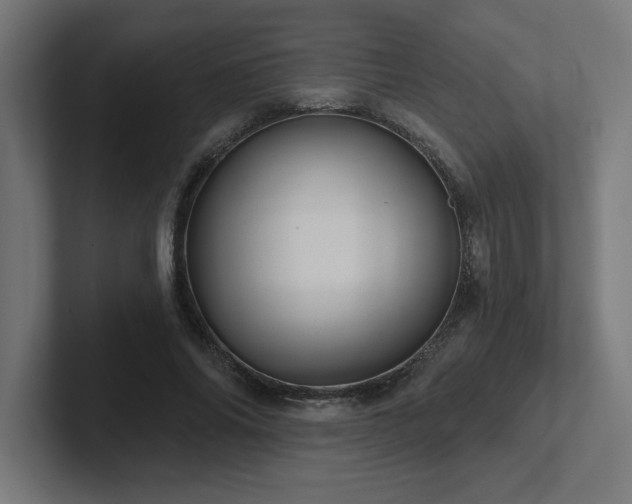 X0000102410686200808011608