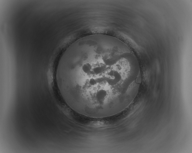 X0000102410687200808011608