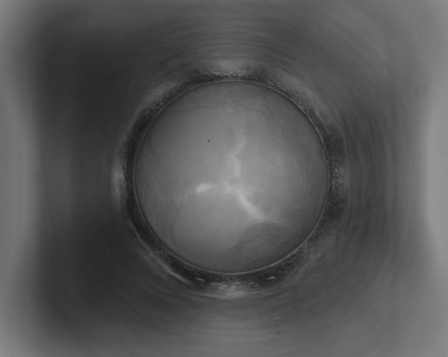 X0000102410688200808011608