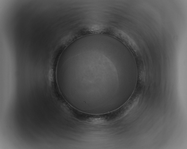 X0000102410689200808011608