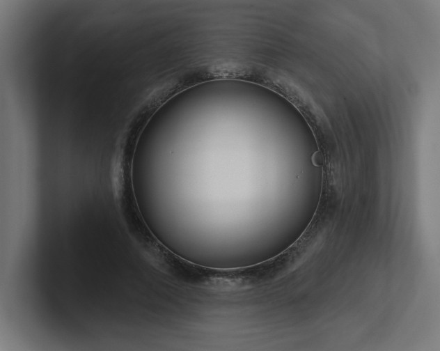 X0000102410690200808011608