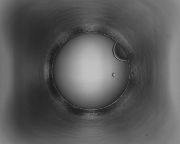 X0000102410694200808011608