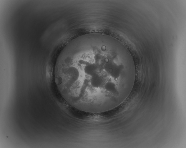 X0000102410695200808011608