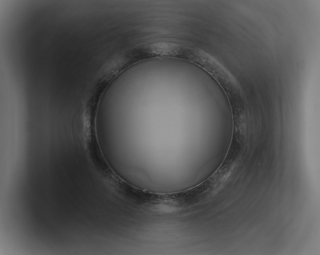 X0000102410696200808011608
