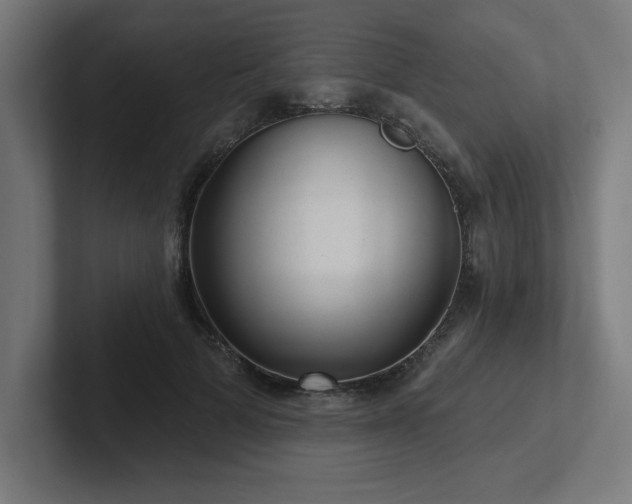 X0000102410697200808011608