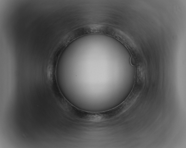 X0000102410698200808011608