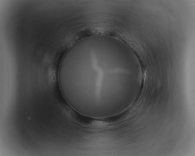X0000102410699200808011608