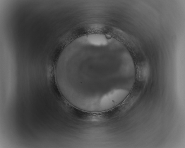 X0000102410701200808011608