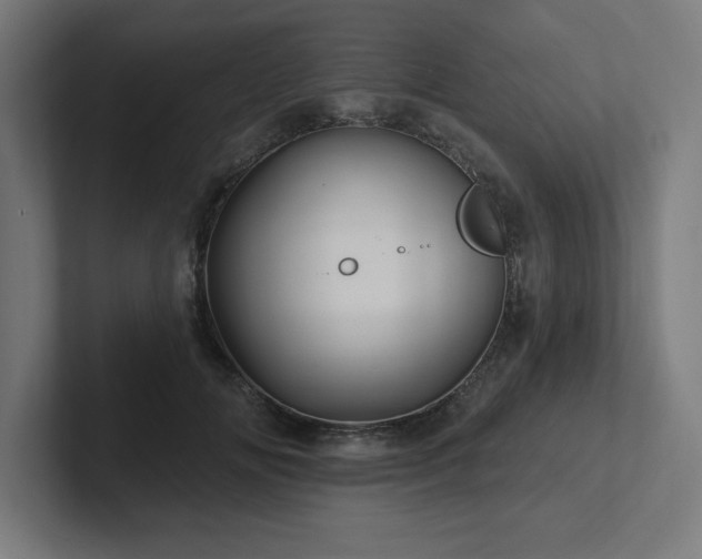 X0000102410702200808011608