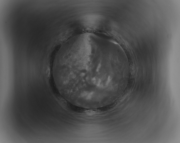 X0000102410703200808011608
