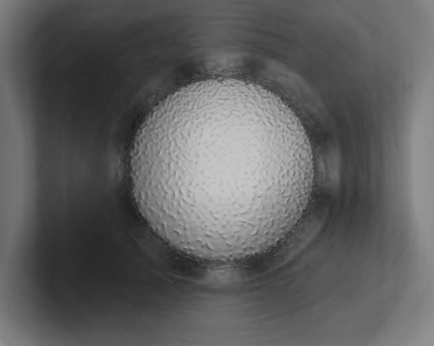 X0000102410705200808011608