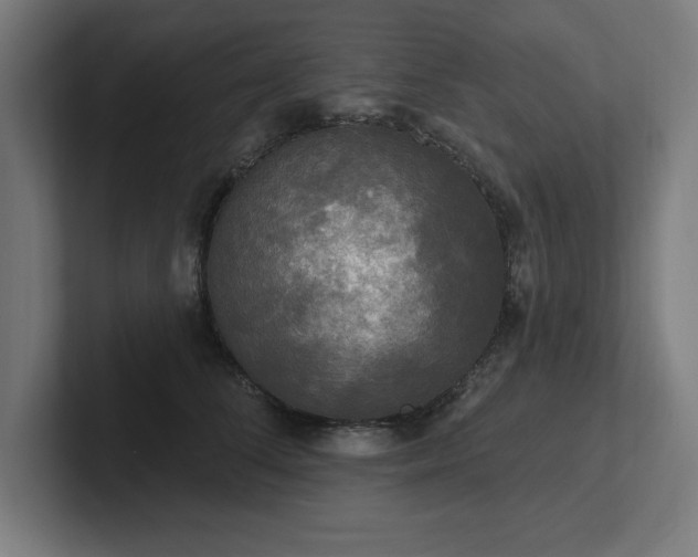 X0000102410708200808011607