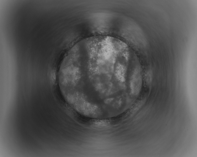 X0000102410709200808011607