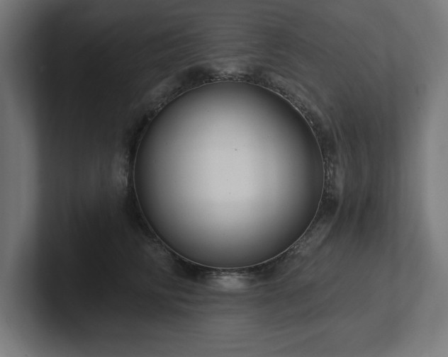 X0000102410710200808011607
