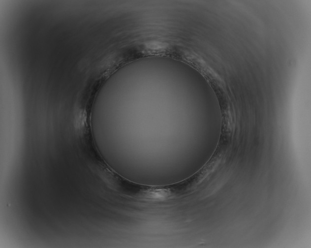 X0000102410711200808011607