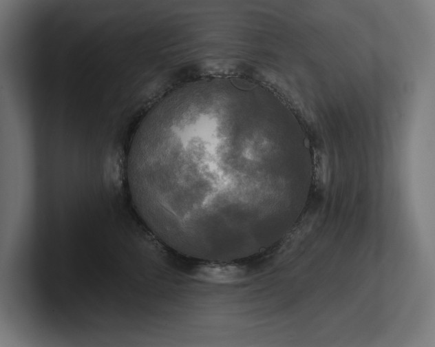 X0000102410712200808011607
