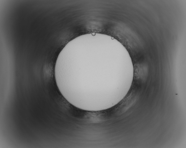 X0000102410713200808011607