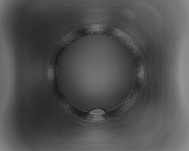 X0000102410715200808011607