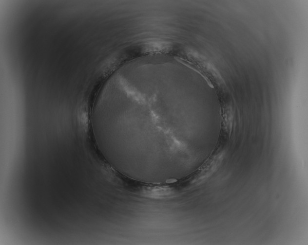 X0000102410716200808011607
