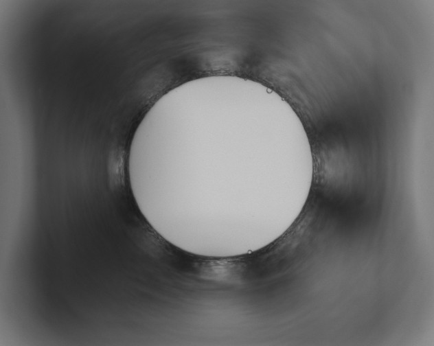 X0000102410717200808011607