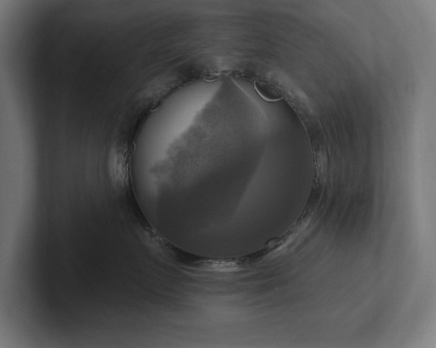 X0000102410719200808011607