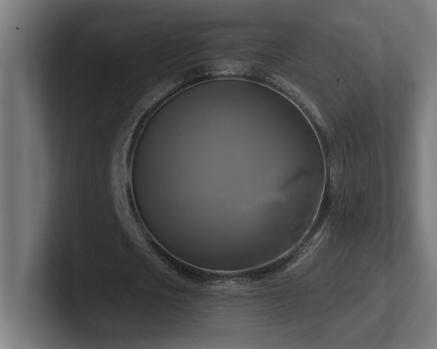 X0000102410721200808011607