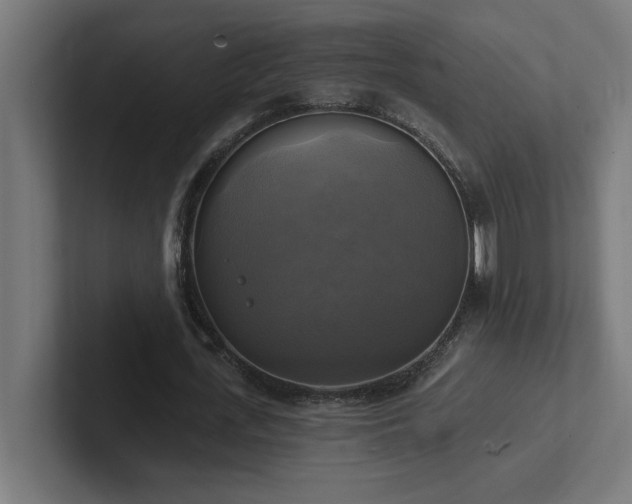 X0000102410723200808011607