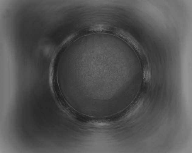 X0000102410724200808011607
