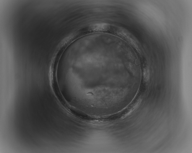 X0000102410725200808011607