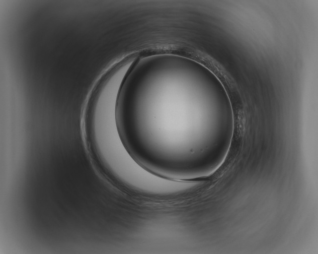 X0000102410726200808011607